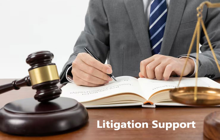 litigation support by detective agency in delhi