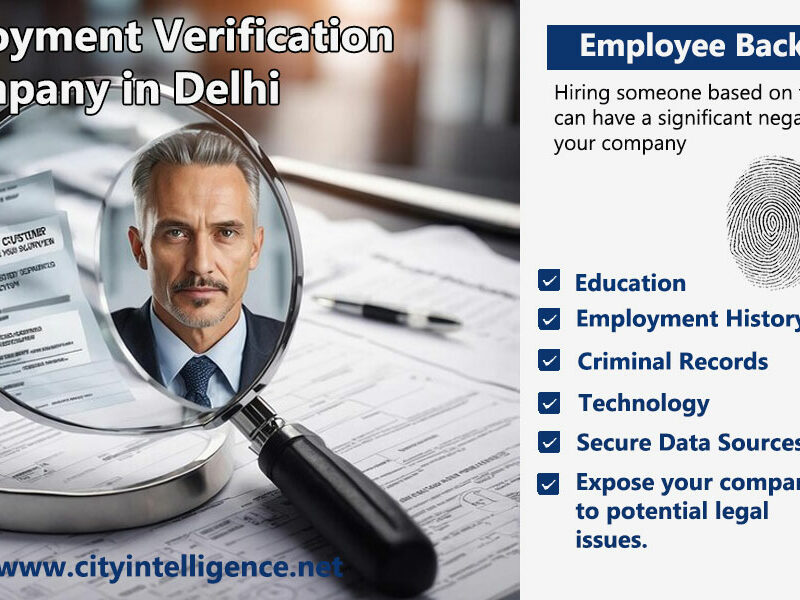 Peace of Mind Starts Here: Top Employment Verification Services in Delhi