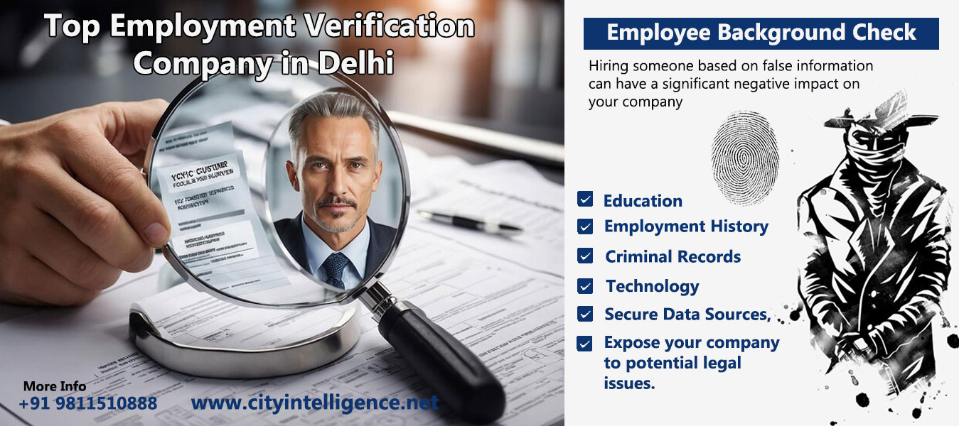 Peace of Mind Starts Here: Top Employment Verification Services in Delhi