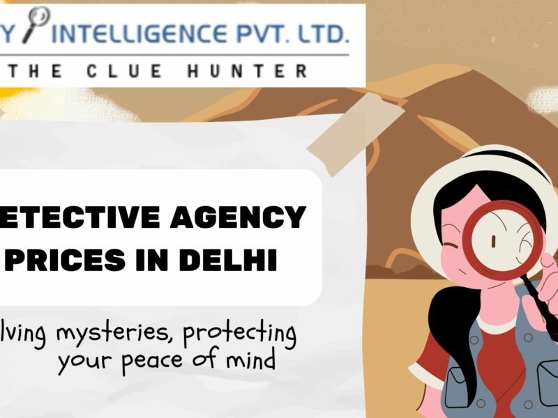 detective agency prices in delhi