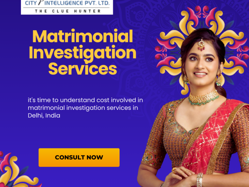 matrimonial investigation cost