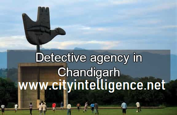 detectives in chandigarh