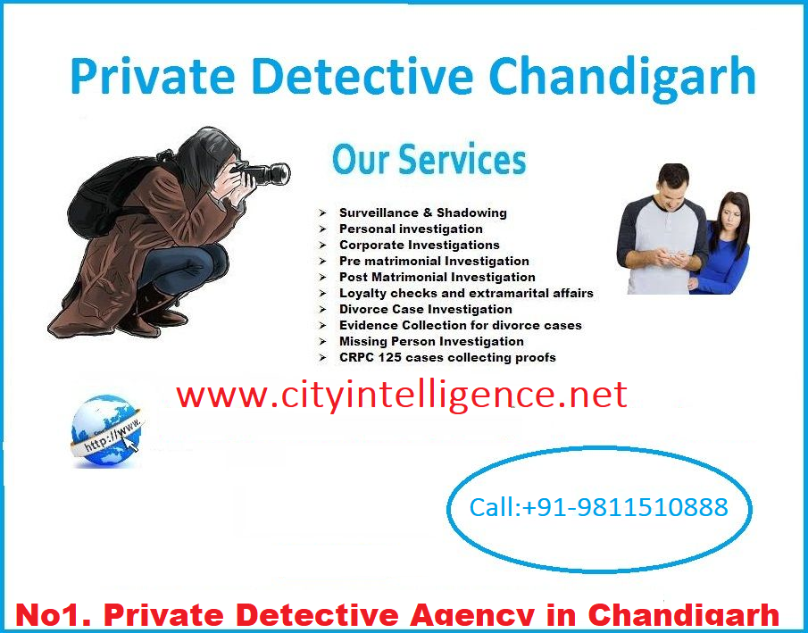 detective agency in chandigarh