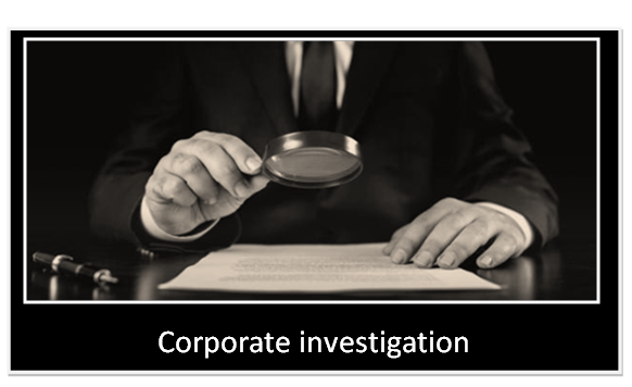 Corporate investigative services & Professional life