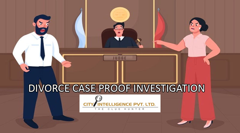 Divorce case proof investigation