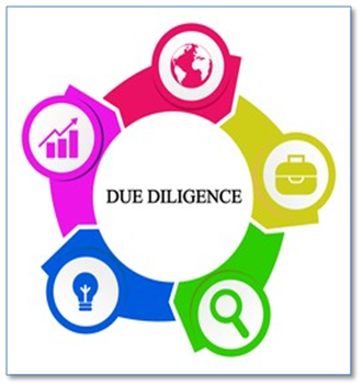 due diligence detectives