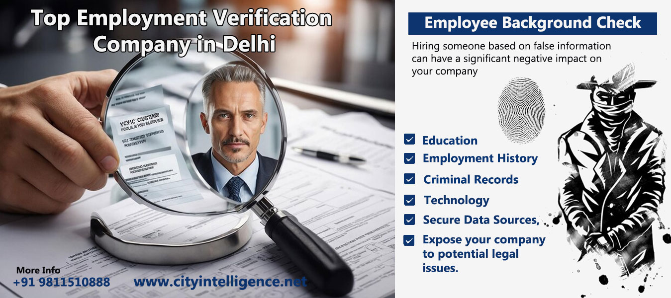 Top 20 Employment Verification Company in Delhi