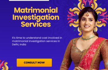 matrimonial investigation cost