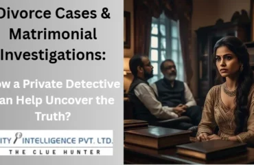 divorce case and matrimonial investigations